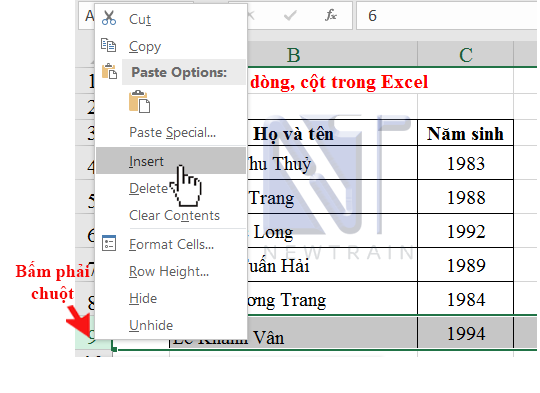 them-hang-trong-excel