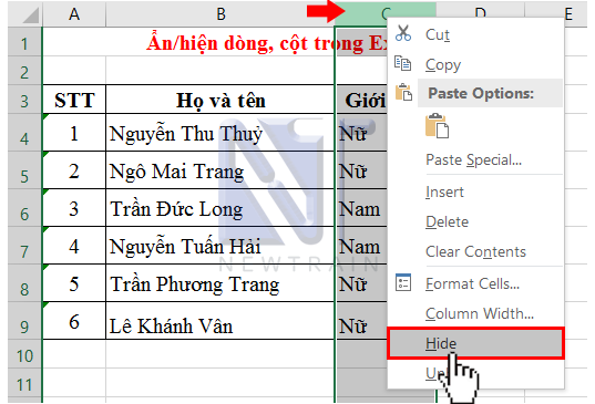 an-hien-dong-cot-trong-excel