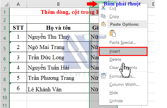 cach-2-them-dong-cot-trong-excel